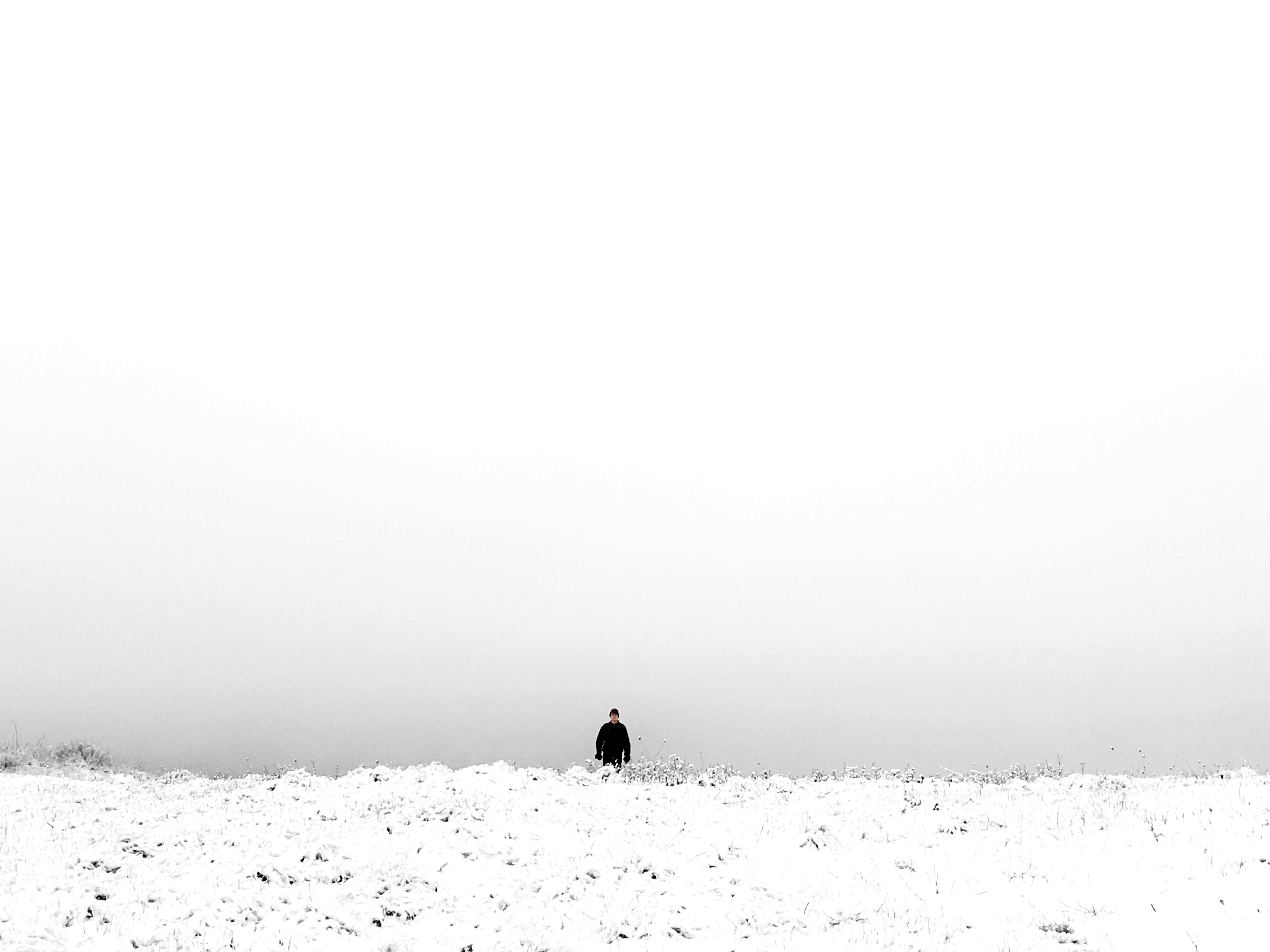 snow snowy winter white minimalist freetoedit
